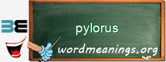 WordMeaning blackboard for pylorus